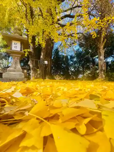 三栖神社(京都府)