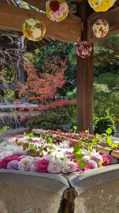 光明寺(粟生光明寺)(京都府)