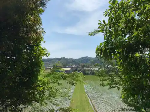 大山祇神社の景色