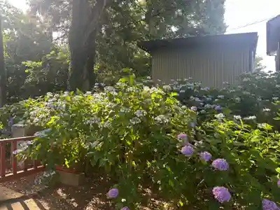 仙波東照宮(埼玉県)