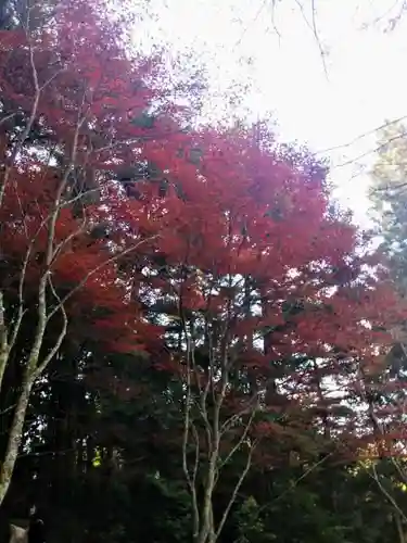 高源寺の自然