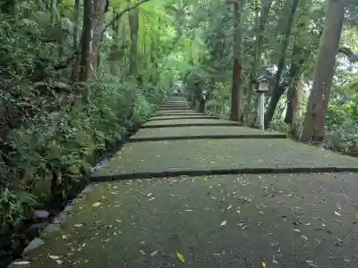 白山比咩神社の{uncategorized: "未分類", other: "その他", undefined: "問題あり", building: "その他建物", grave: "お墓", sacred_gate: "鳥居", guardian: "狛犬", statue: "像", buddha: "仏像", history: "歴史", nature: "自然", garden: "庭園", animal: "動物", pagoda: "塔", temizu: "手水舎", mountain_gate: "山門・神門", sanctuary: "本殿・本堂", subordinate: "末社・摂社", art: "芸術", scenery: "景色", jizo: "地蔵", ema: "絵馬", goshuin: "御朱印", omikuji: "おみくじ", items: "授与品その他", amulet: "お守り", goshuincho: "御朱印帳", eats: "食事", festival: "お祭り", votive_dance: "神楽", shichigosan: "七五三参", wedding: "結婚式", experience: "体験その他", initially: "初詣", around: "周辺", anti_infection: "感染症対策"}