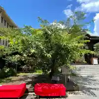 桜神宮(東京都)