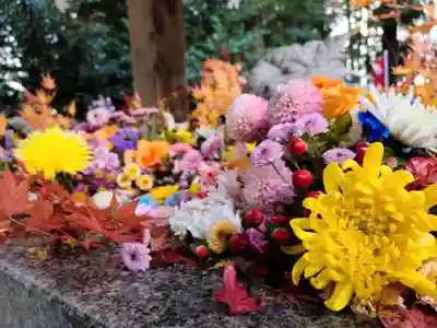滑川神社 - 仕事と子どもの守り神の手水舎