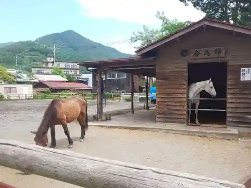 小室浅間神社の動物