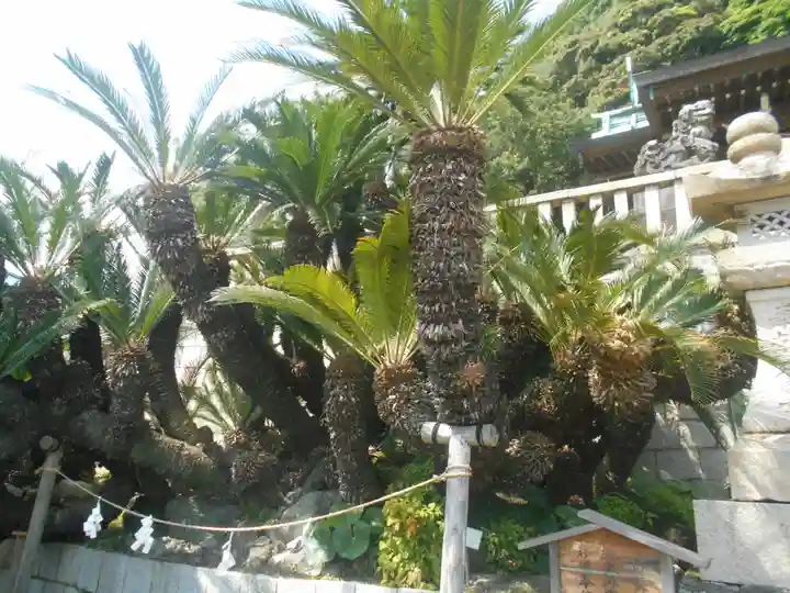 叶神社(東叶神社)の自然