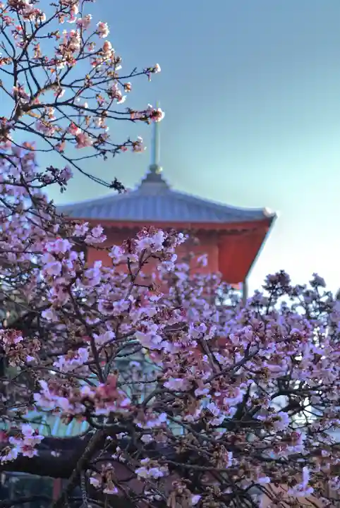 西新井大師総持寺の自然