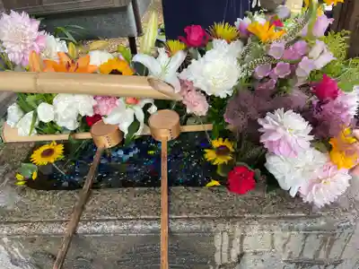 勝林寺(京都府)