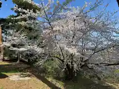 宇倍神社(福島県)