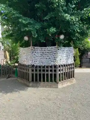 天祖神社の{uncategorized: "未分類", other: "その他", undefined: "問題あり", building: "その他建物", grave: "お墓", sacred_gate: "鳥居", guardian: "狛犬", statue: "像", buddha: "仏像", history: "歴史", nature: "自然", garden: "庭園", animal: "動物", pagoda: "塔", temizu: "手水舎", mountain_gate: "山門・神門", sanctuary: "本殿・本堂", subordinate: "末社・摂社", art: "芸術", scenery: "景色", jizo: "地蔵", ema: "絵馬", goshuin: "御朱印", omikuji: "おみくじ", items: "授与品その他", amulet: "お守り", goshuincho: "御朱印帳", eats: "食事", festival: "お祭り", votive_dance: "神楽", shichigosan: "七五三参", wedding: "結婚式", experience: "体験その他", initially: "初詣", around: "周辺", anti_infection: "感染症対策"}