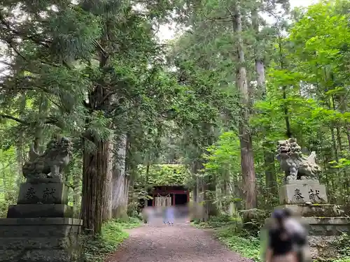 戸隠神社九頭龍社(長野県)