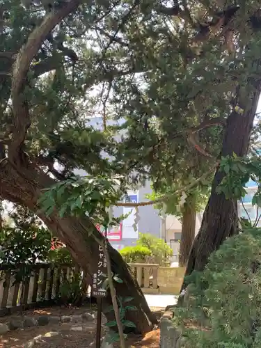 瀬戸神社のその他建物