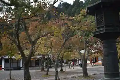 鞍馬寺のその他建物