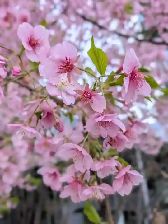 淀橋咳止地蔵尊(東京都)