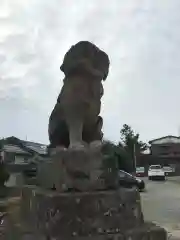 田原神社の狛犬