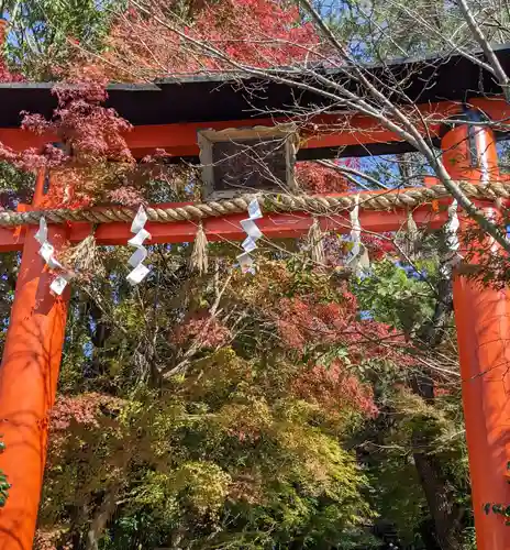 宇治上神社の鳥居