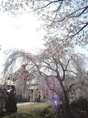 慶龍寺(茨城県)