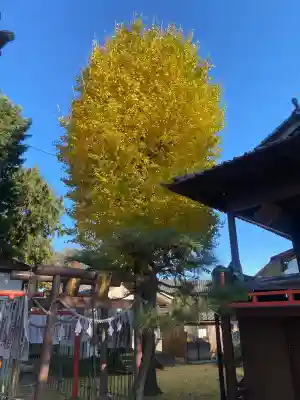 駒形神社の{uncategorized: "未分類", other: "その他", undefined: "問題あり", building: "その他建物", grave: "お墓", sacred_gate: "鳥居", guardian: "狛犬", statue: "像", buddha: "仏像", history: "歴史", nature: "自然", garden: "庭園", animal: "動物", pagoda: "塔", temizu: "手水舎", mountain_gate: "山門・神門", sanctuary: "本殿・本堂", subordinate: "末社・摂社", art: "芸術", scenery: "景色", jizo: "地蔵", ema: "絵馬", goshuin: "御朱印", omikuji: "おみくじ", items: "授与品その他", amulet: "お守り", goshuincho: "御朱印帳", eats: "食事", festival: "お祭り", votive_dance: "神楽", shichigosan: "七五三参", wedding: "結婚式", experience: "体験その他", initially: "初詣", around: "周辺", anti_infection: "感染症対策"}