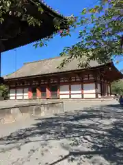 東寺（教王護国寺）(京都府)