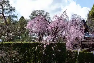 北野天満宮(京都府)