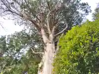 九社神社の{uncategorized: "未分類", other: "その他", undefined: "問題あり", building: "その他建物", grave: "お墓", sacred_gate: "鳥居", guardian: "狛犬", statue: "像", buddha: "仏像", history: "歴史", nature: "自然", garden: "庭園", animal: "動物", pagoda: "塔", temizu: "手水舎", mountain_gate: "山門・神門", sanctuary: "本殿・本堂", subordinate: "末社・摂社", art: "芸術", scenery: "景色", jizo: "地蔵", ema: "絵馬", goshuin: "御朱印", omikuji: "おみくじ", items: "授与品その他", amulet: "お守り", goshuincho: "御朱印帳", eats: "食事", festival: "お祭り", votive_dance: "神楽", shichigosan: "七五三参", wedding: "結婚式", experience: "体験その他", initially: "初詣", around: "周辺", anti_infection: "感染症対策"}