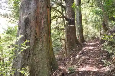 焼山寺(徳島県)