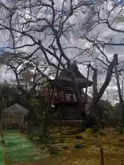 光丸山 法輪寺の建物その他