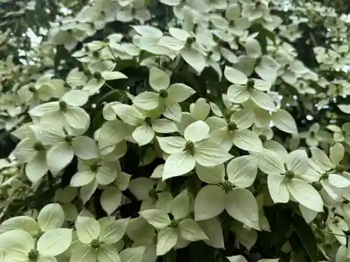 美奈宜神社(福岡県)