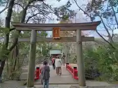 武蔵一宮氷川神社(埼玉県)