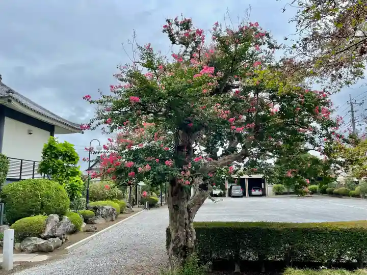 光了寺(茨城県)