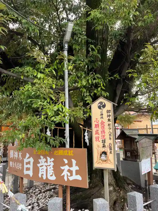 伊奴神社(愛知県)