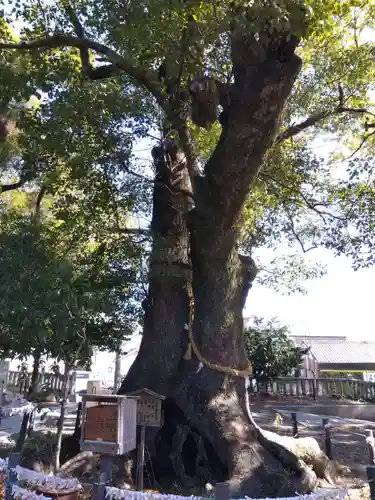 細江神社(静岡県)