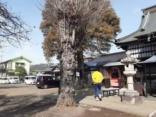 清宝院(東京都)