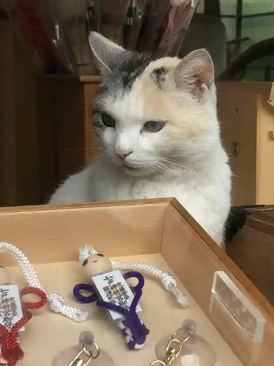 七戸神明宮の動物