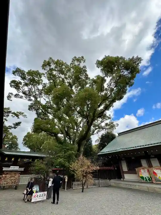 和泉國一之宮 大鳥大社(大阪府)