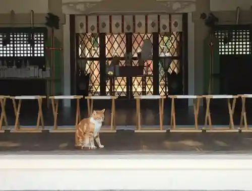 大江神社の動物