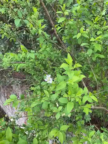 恵利寺の自然
