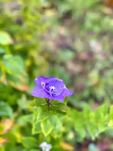 高榮寺(長野県)
