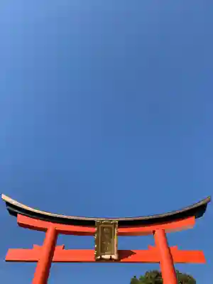 姫嶋神社の鳥居