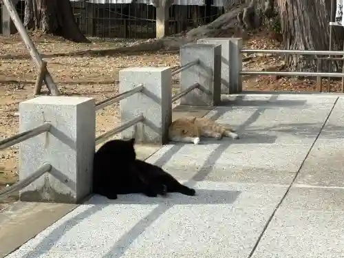 豊川閣　妙厳寺(愛知県)