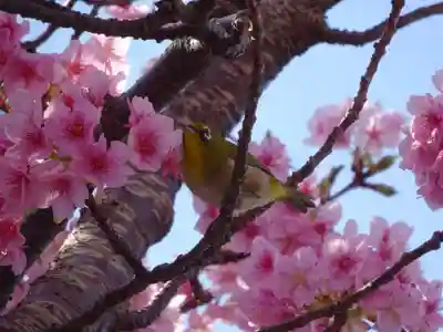 かっぱの寺 栖足寺(静岡県)