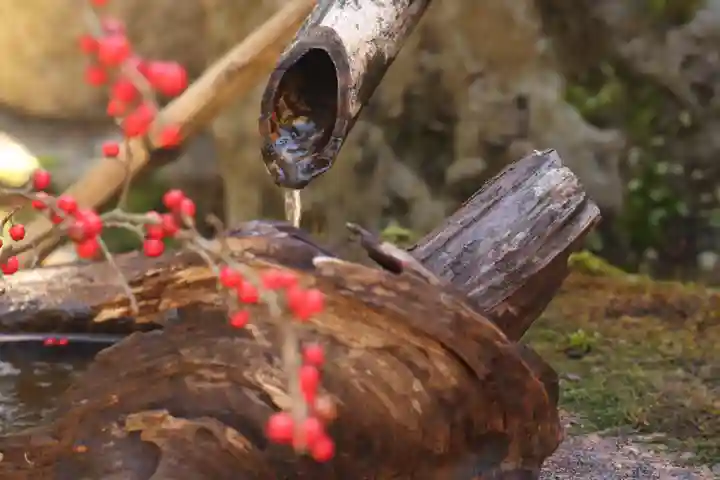 正寿院(京都府)