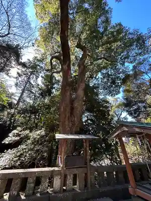 久能山東照宮(静岡県)