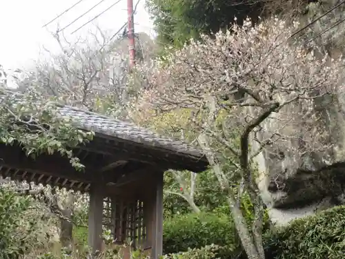 海蔵寺のその他建物