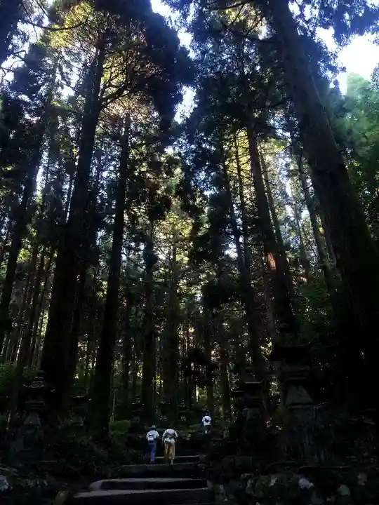 上色見熊野座神社の自然