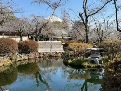富士山本宮浅間大社(静岡県)