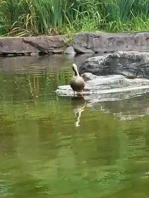 靖國神社(東京都)