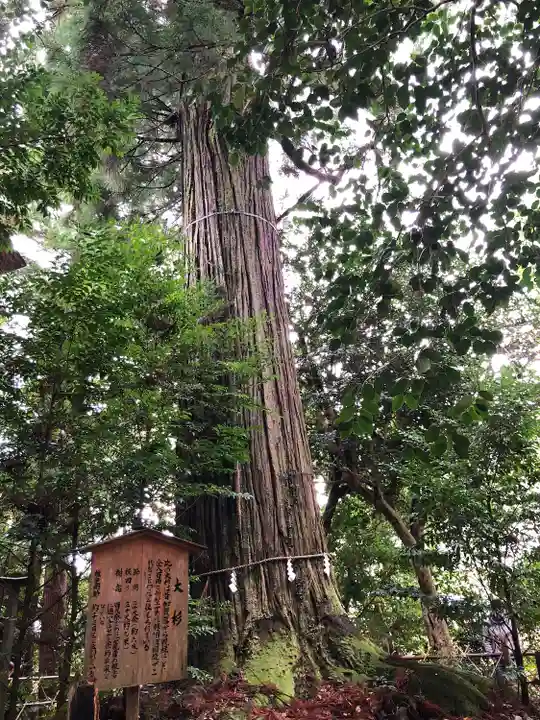 須佐神社の自然