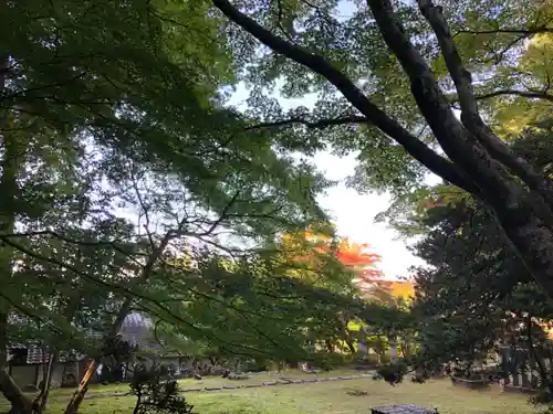 宗鏡寺の景色