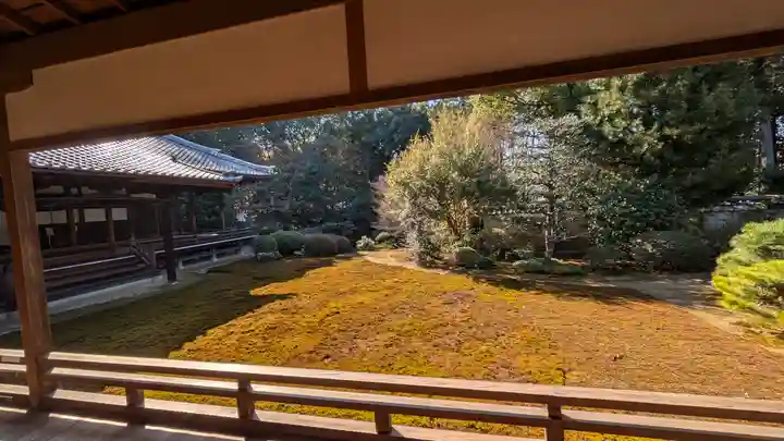 隨心院(随心院)(京都府)